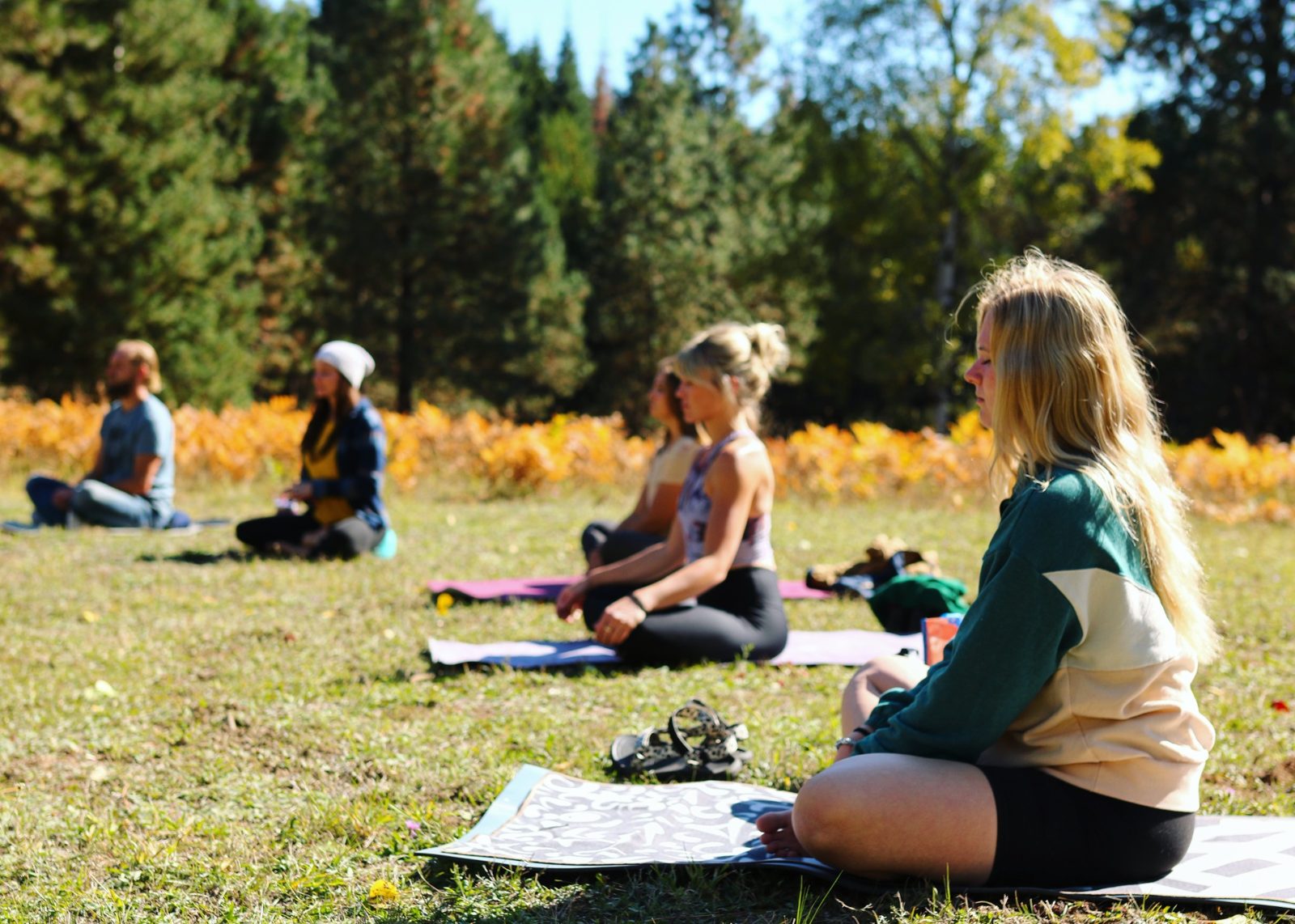 Participants seated in quiet practice outdoors among autumn trees